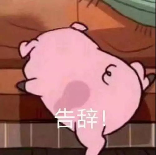  刚刚,个人支付宝年账单可以查看了网友被吓坏恐怖...