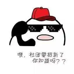  青心志愿秘书处招新
