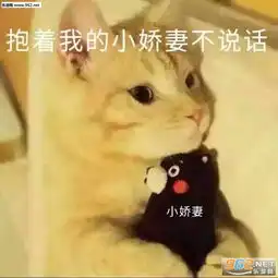  你走吧我妈不让我跟傻子玩系列猫咪表情包带字图片你的小可爱突然出现吸猫表情包下载乐游网游戏下载