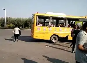 幼儿园校车是否合标准未知被撞已致2死 幼儿园校车是否合标准未知被撞已致2死