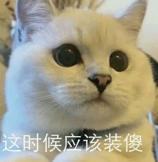  张柏芝谢霆锋同游日本男方私下与孩子相聚,儿子却越像陈冠希