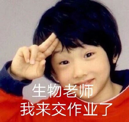 我来的表情包头像