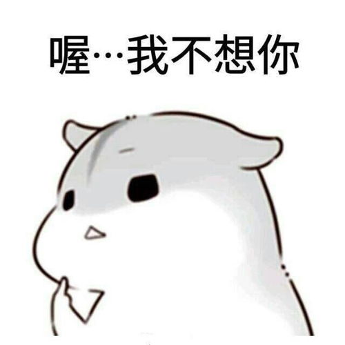  可爱小仓鼠表情包大合集怎么还没有老公消息,手机是不是坏掉了