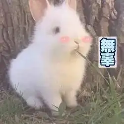  自来卷赵英俊我不是票房神兽,我想做个好演员