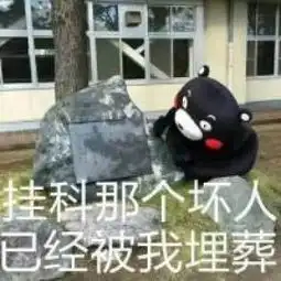  熊本熊搞笑文字表情包之挂科我在学习呢