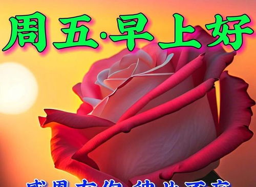  11月17日周五早上好,精选早安创意祝福图片带字表情包问候语大全