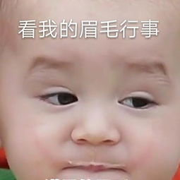 萌娃本特利表情包合集看我的眉毛行事