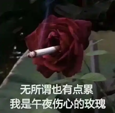  表情包沙雕日常我的爱情呢围观