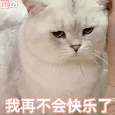  5.6表情包丨得了我走就是了