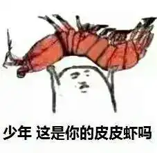  哔哩哔哩专栏