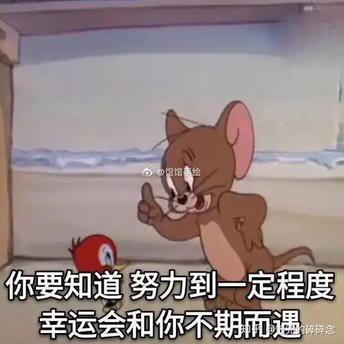  我的女兵征兵之旅