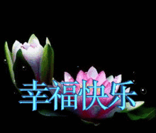  最美的五一祝福,播撒给我最可爱的兄弟姐妹朋友祝你劳动节快乐