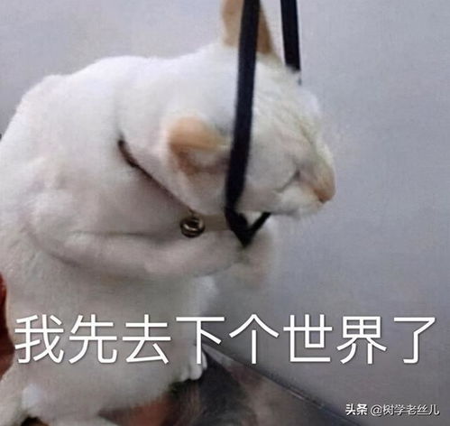  游戏打得好就能当职业选手劝退警告来了
