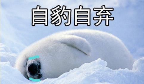  单身猫目睹两只猫亲昵,转头看向主人,眼神充满质疑,猫我的呢
