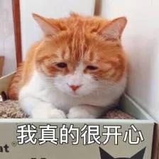  这些表情包,你使用过吗聊天万能回复