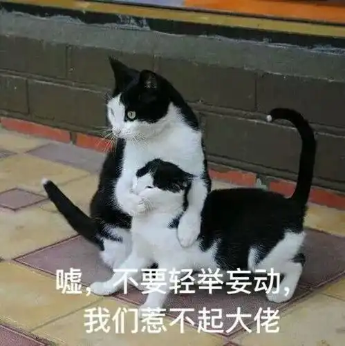 辅导员来啦