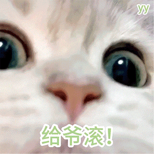  沙雕表情包可不可以跟生活请个假