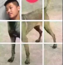  九宫格加个头恶搞图片大全抖音热门整人图片汇总