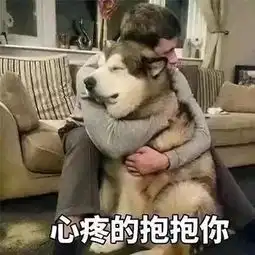  套路表情包喜欢一个人就去表白,万一成了备胎呢