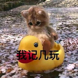  为什么现在的男生都不怎么主动追女生了