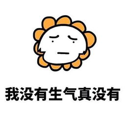 生气的大表情包