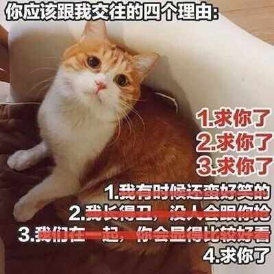  哪惧飞蛾扑火,只愿得君一顾