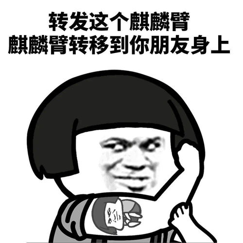  表情包你胖我丑,所以我们是好朋友