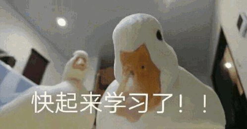  宝工学堂除了半年总结,又有一大波免费课程可以申请了