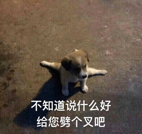  让中老年喜笑颜开的盘棍是什么