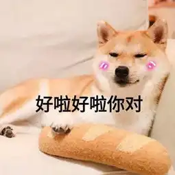 我的天呐表情包简笔画狗