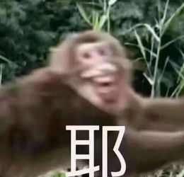  微信群莫名其妙消失