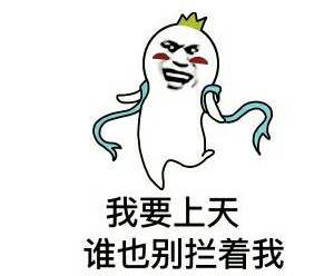  真的要上天了未来上海交通进入不可思议模式