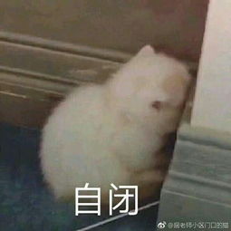  用户5847399790的微博微博