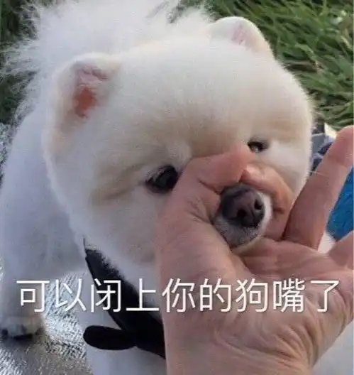  有哪些憨憨朋友圈文案让人看一次笑一次