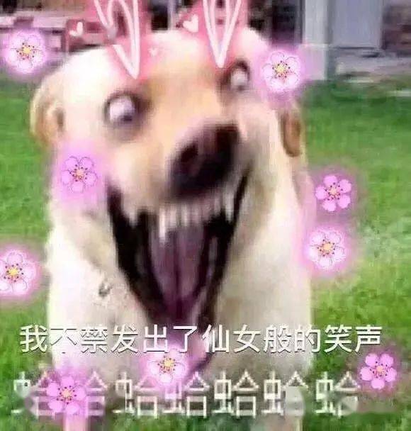  爸妈对表情包的理解让人简直窒息,我tm笑到头掉哈哈哈哈哈