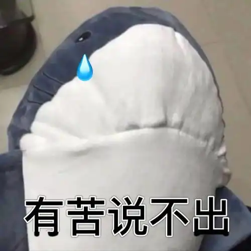  家里猫猫被鲨鱼咬了,奶奶连夜把鲨鱼的嘴缝上了