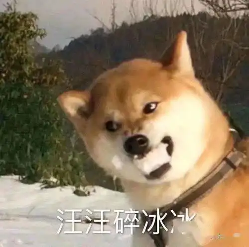  为什么rapper脖子上都贴膏药