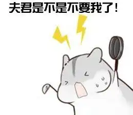  仓鼠夫君表情包堆糖,美好生活研究所
