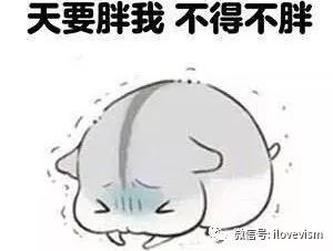  聚焦生活我有一份维密定制餐给你