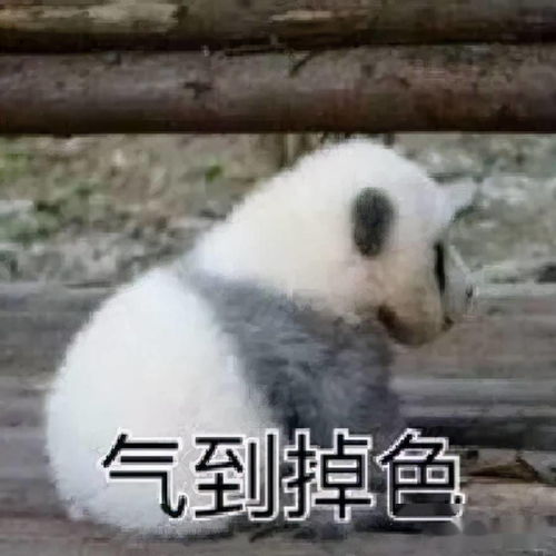  俄罗斯男子持枪求婚女友,女友哭喊我嫁还不行吗