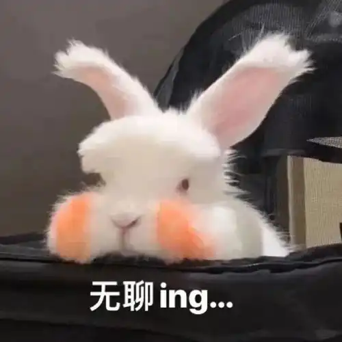  微信斗图表情包搞笑gif动态图给姐爬出去