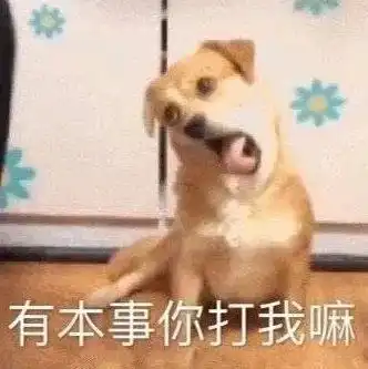  表情包丨我啷个晓得,我只是一个沙雕