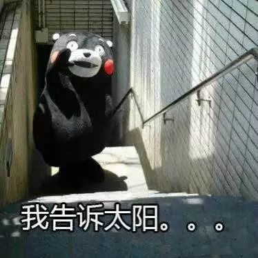 活捉表情包恩宠