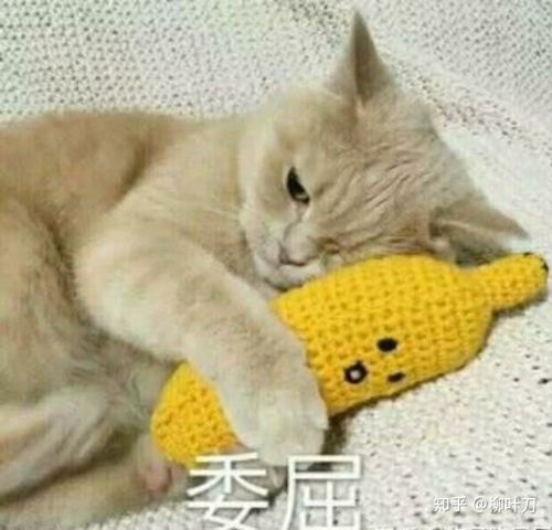  青春京剧社里说的京剧人物在现代可以从事哪些职业